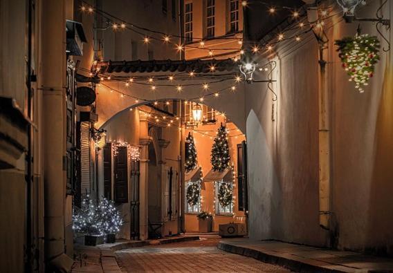 Exclusive Gaono Apartment In The Heart Of Old Town Vilnius Extérieur photo